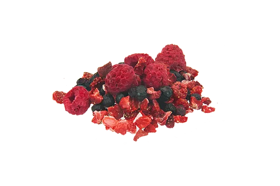 Gefriergetrocknete Früchte Gefriergetrocknete Früchte