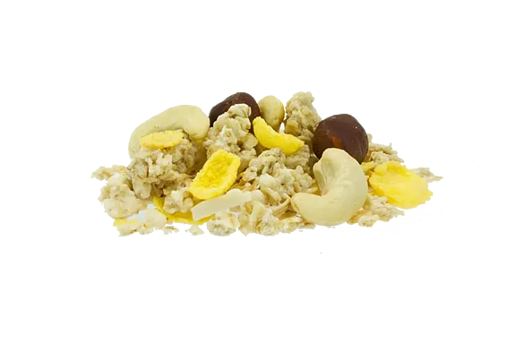 Hafer Knuspermüsli mit Nüssen Hafer Knuspermüsli mit Nüssen