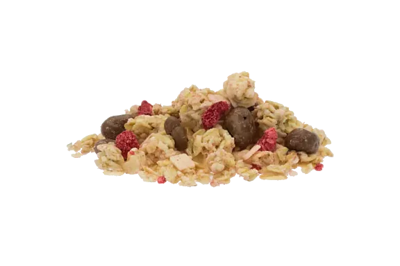 Hafer Knuspermüsli mit Beeren Hafer Knuspermüsli mit Beeren